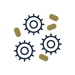 Certificazioni