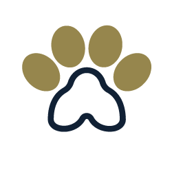 Certificazioni
